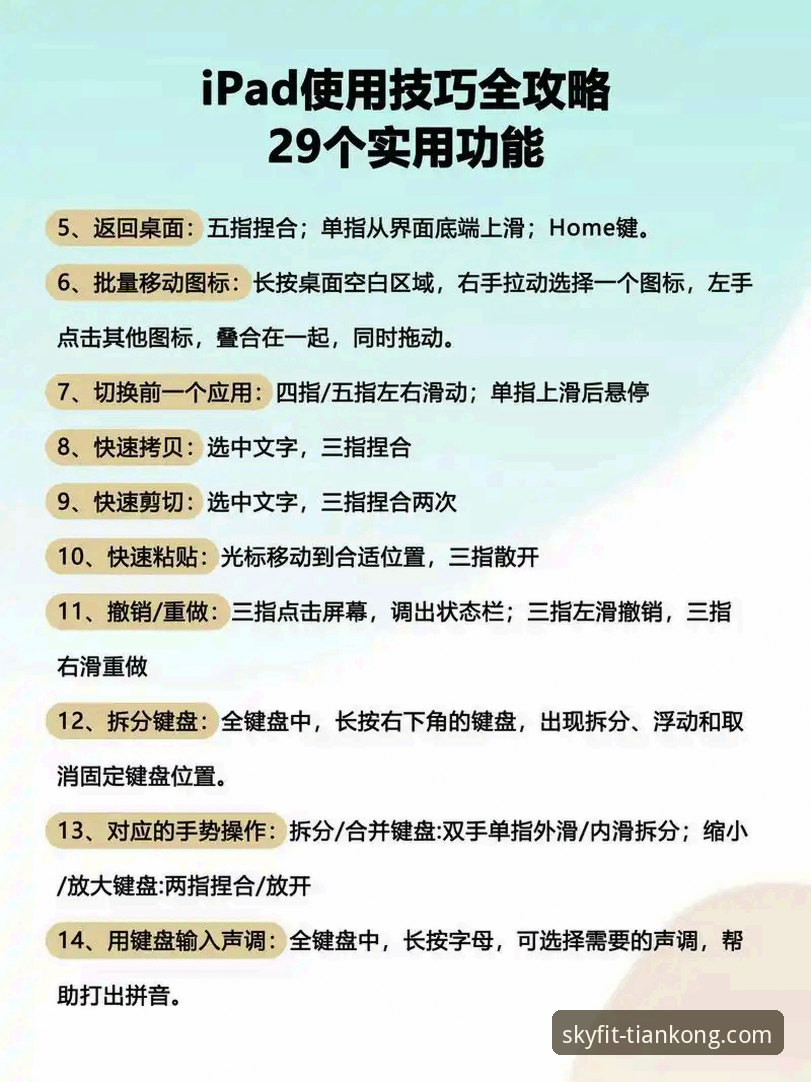 天空体育官方网址 天空体育平台完整使用指南——从下载到深度体验的全流程解析